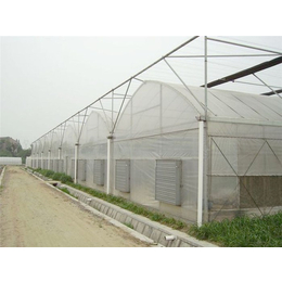 薄膜温室骨架-薄膜温室-青州瀚洋农业