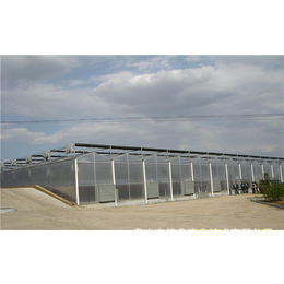 阳光板温室-齐鑫温室玻璃大棚-尖顶阳光板温室造价