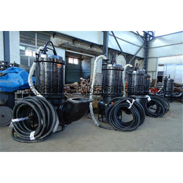 强能水泵公司-杭州ZJQ30-16-4潜水渣浆泵