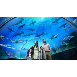 水族馆厂家-宿迁水族馆-好景至水族为您服务