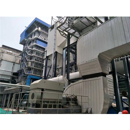山东泰山行星环保科技-延边布袋除尘器-布袋除尘器生产厂家
