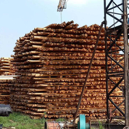 电力油木杆-电力油木杆生产厂家【询价】-电力油木杆供应商