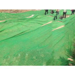 绿化盖土网规格-佳实遮阳网-贵州绿化盖土网