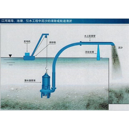 深圳立式潜水排沙泵定做-强能泵业