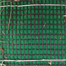 加工草籽生态毯-*河道护坡绿化-福建草籽生态毯