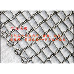 碳钢链板金属网带-金属网带-天德丝网(查看)