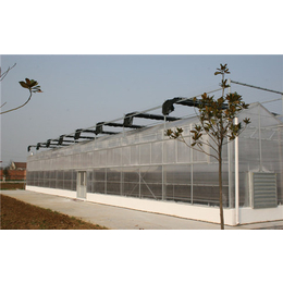 齐鑫温室玻璃大棚(图)-阳光板大棚设计-巴彦淖尔阳光板大棚