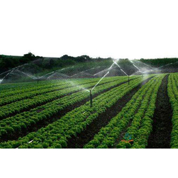 节水灌溉哪里有卖-迪庆节水灌溉-润四季节水灌溉批发(查看)