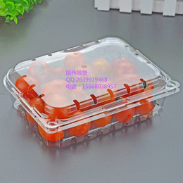 食品吸塑托盒-安徽食品吸塑托盒-临沂国伟吸塑包装(诚信商家)