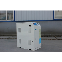 微型电蒸汽发生器公司-电蒸汽发生器-隆鑫热能设备