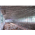 夏季养殖场猪场鸡舍降温加湿消毒设备高压冷雾然造物机器厂家缩略图3