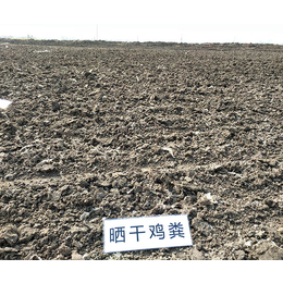 硕田生物科技有限公司(图)-鸡粪有机肥厂家-孟州鸡粪有机肥