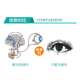 视力矫正仪-视功能直线训练仪有哪些厂家-北京视功能训练仪