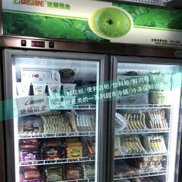 巴彦淖尔饮料冰柜-达硕制冷设备生产-饮料展示冰柜生产厂家