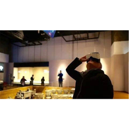 VR博物馆 VR展厅数字化解决方案