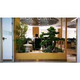 常景园林(图)-办公室绿化哪家好-西湖区办公室绿化