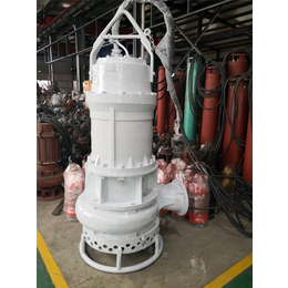 沃泉电厂砂浆泵 水电站抽渣泵 防爆电机耐热运作更稳定