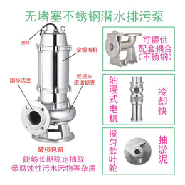 临泉泵业污水泵图片(图)-潜水污水泵批发-辽阳潜水污水泵