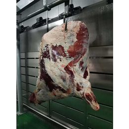 猪肉解冻机规格-*制冷(在线咨询)-北京猪肉解冻机