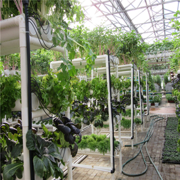 白色梯形草莓立体种植槽 漏窗栽培种植 温室无土栽培设备定做缩略图