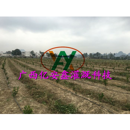 果蔬灌溉-黔南果蔬灌溉-亿安鑫节水灌溉