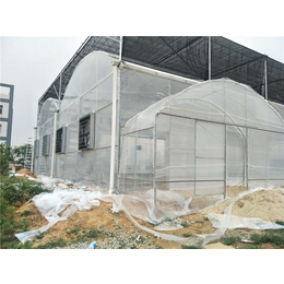 塑料温室大棚-温室大棚-温室设计