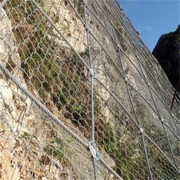 安顺边坡防护网-陆路通边坡防护厂家-定制边坡防护网工程