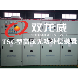 襄阳双龙威TSC高压并联电容补偿 厂家定制生产 包运输