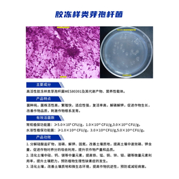 坤禾生物-胶冻样类芽孢*-胶冻样类芽孢*价格