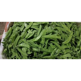 昆明新鲜蔬菜供应-刘建平蔬菜配送(在线咨询)-昆明新鲜蔬菜