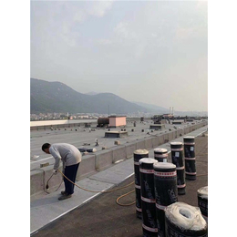 喜盛防水材料公司-屋顶防水材料代理加盟-东营防水材料代理加盟