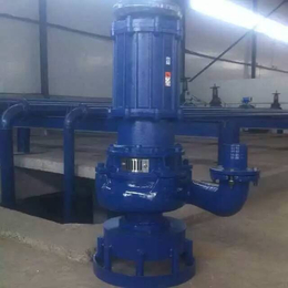 株洲ZJQ500-25-90潜水渣浆泵-双能水泵