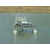 兰州水产养殖管理系统-水产物联网，兵峰电子缩略图1
