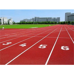 北京塑胶跑道价格-天津金康体育设施-北京塑胶跑道