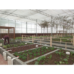 青州瀚洋农业玻璃温室-留坝蔬菜温室-蔬菜温室大棚