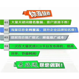 六安网站推广-六安天易网络-企业网站推广