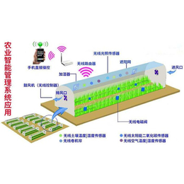 智能温室-贵贵温室-智能温室系统