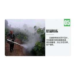 弥雾机给葡萄打药-贵州弥雾机-英达机械