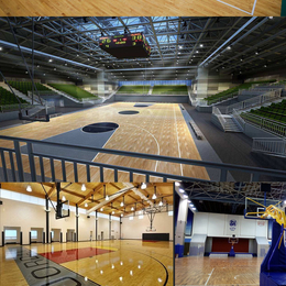 羽毛球馆木地板体育运动木地板学校活动室木地板