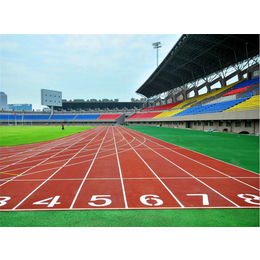 增城硅PU塑胶跑道施工-广州舒瑞体育设施发展