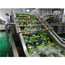 全自动蔬菜清洗机哪家好-贵阳蔬菜清洗机-华邦机械(查看)