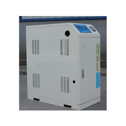 电加热蒸汽发生器-隆鑫热能设备-电加热蒸汽发生器应用