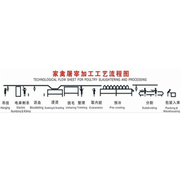 毛鸡流水线设备多少钱-流水线设备多少钱-诸城朝阳机械(查看)