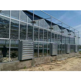 青州瀚洋农业(多图)-玻璃大棚高度-玻璃大棚