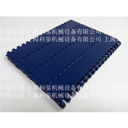 上海S900平板输送网带 节距27.2模块网传送带
