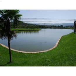 河南景观湖水处理设备制造厂家-【国泉水处理】景观湖水处理设备