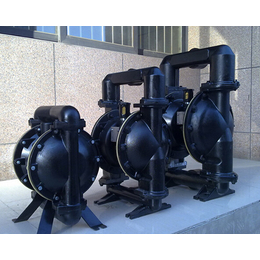 山西气动隔膜泵型号-金龙煤机(在线咨询)-山西气动隔膜泵