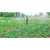 农业节水灌溉技术-润成节水灌溉(在线咨询)-梁河节水灌溉缩略图1