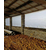 养殖场卷帘布生产-防水猪场卷帘 挡风牛场卷帘布批发厂家缩略图2