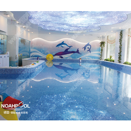 石家庄玻璃游泳池-诺亚天动力有限公司-玻璃游泳池公司